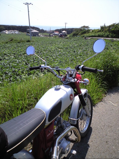 c0019089_19315585.jpg