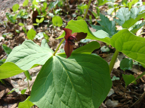 f0146493_01219.jpg