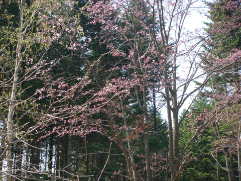 f0146493_01620.jpg