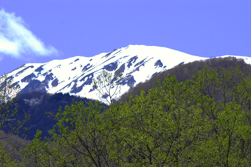 5月3日～5日　白馬～安曇野・・その４（風景と祭り）_b0078795_11464160.jpg