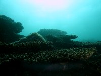 f0079996_1312198.jpg