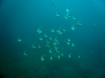 f0079996_1321071.jpg
