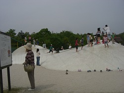 c0142898_7374657.jpg