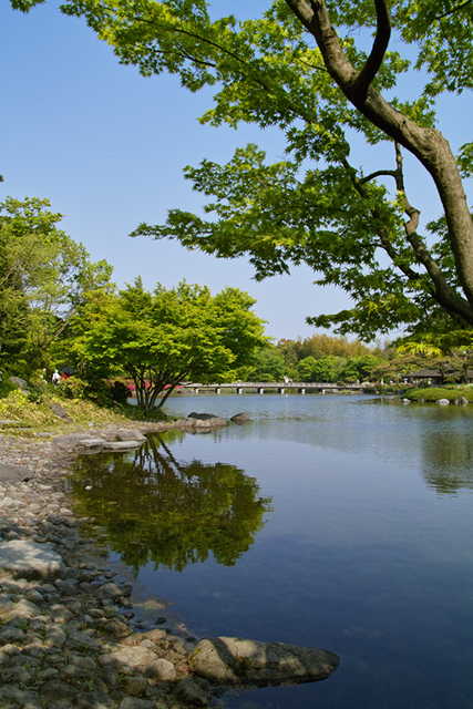 国営昭和記念公園 新緑香る日本庭園_d0069398_7425345.jpg