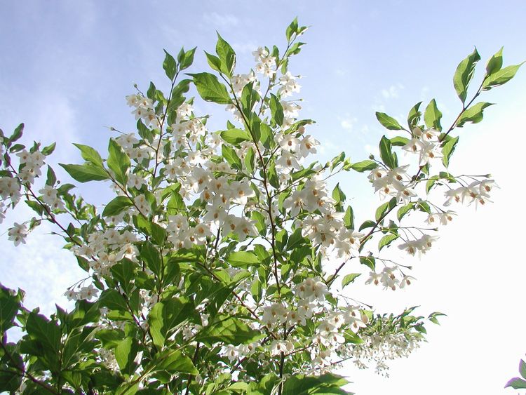 f0059498_14371689.jpg