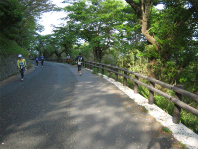 b0108100_21313561.gif