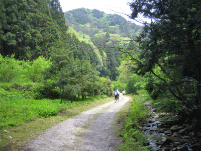 b0108100_21394278.gif