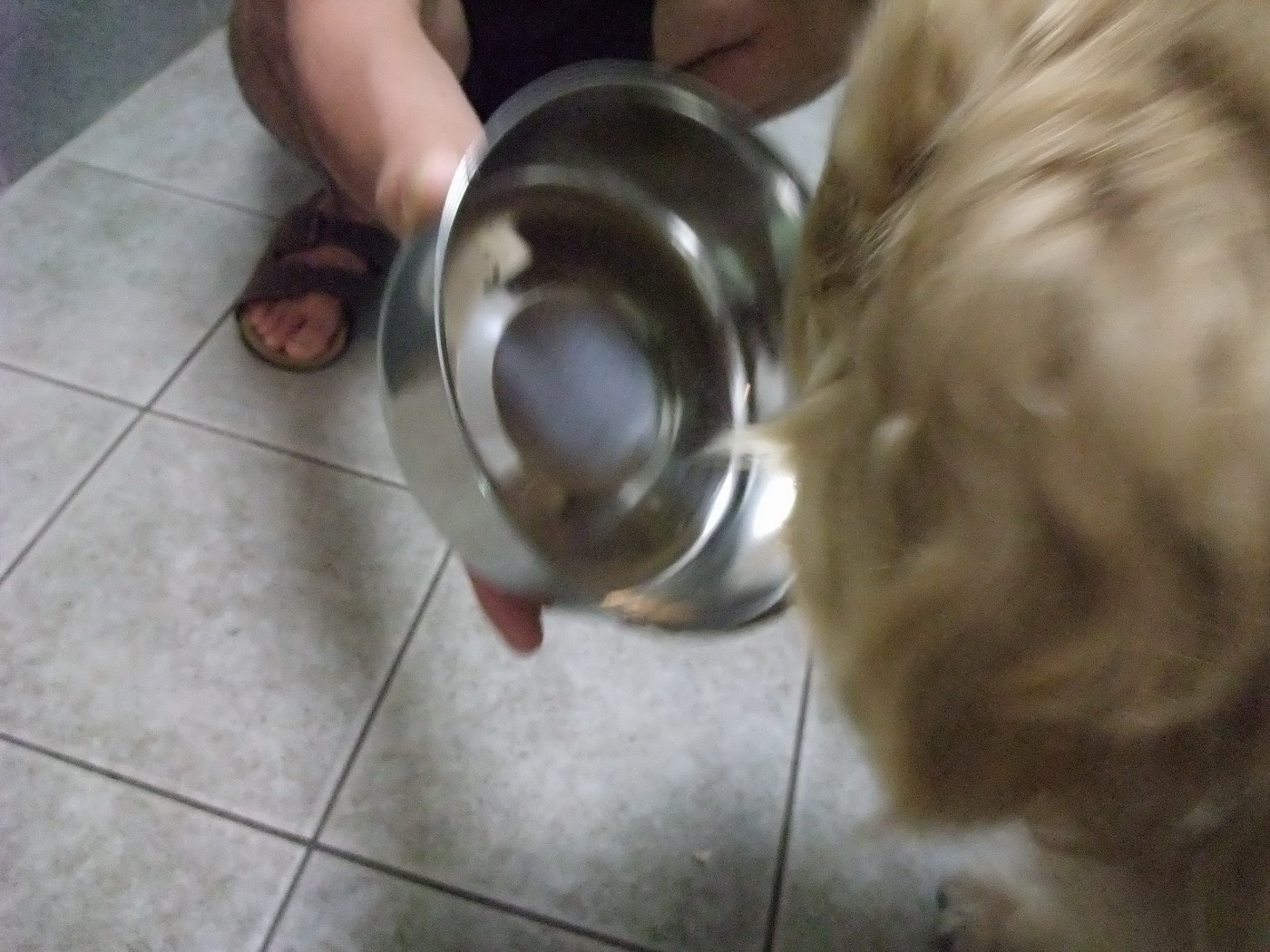 f0025103_15184598.jpg