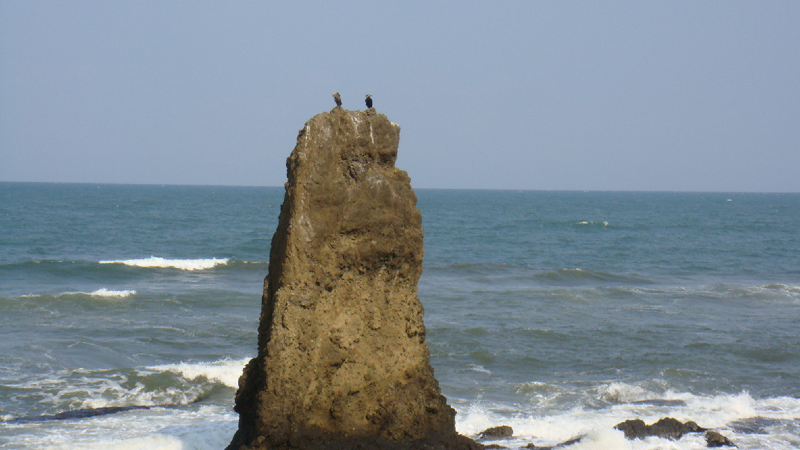 f0138304_9551168.jpg