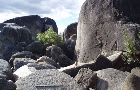 e0013405_1818111.jpg