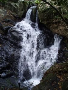 e0013405_18383710.jpg