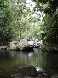 e0013405_1838561.jpg