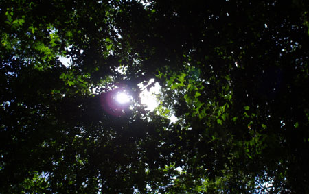 e0013405_18395640.jpg