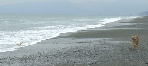 e0138005_19553145.jpg