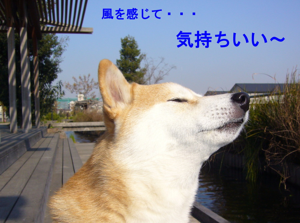 e0131506_0393438.jpg