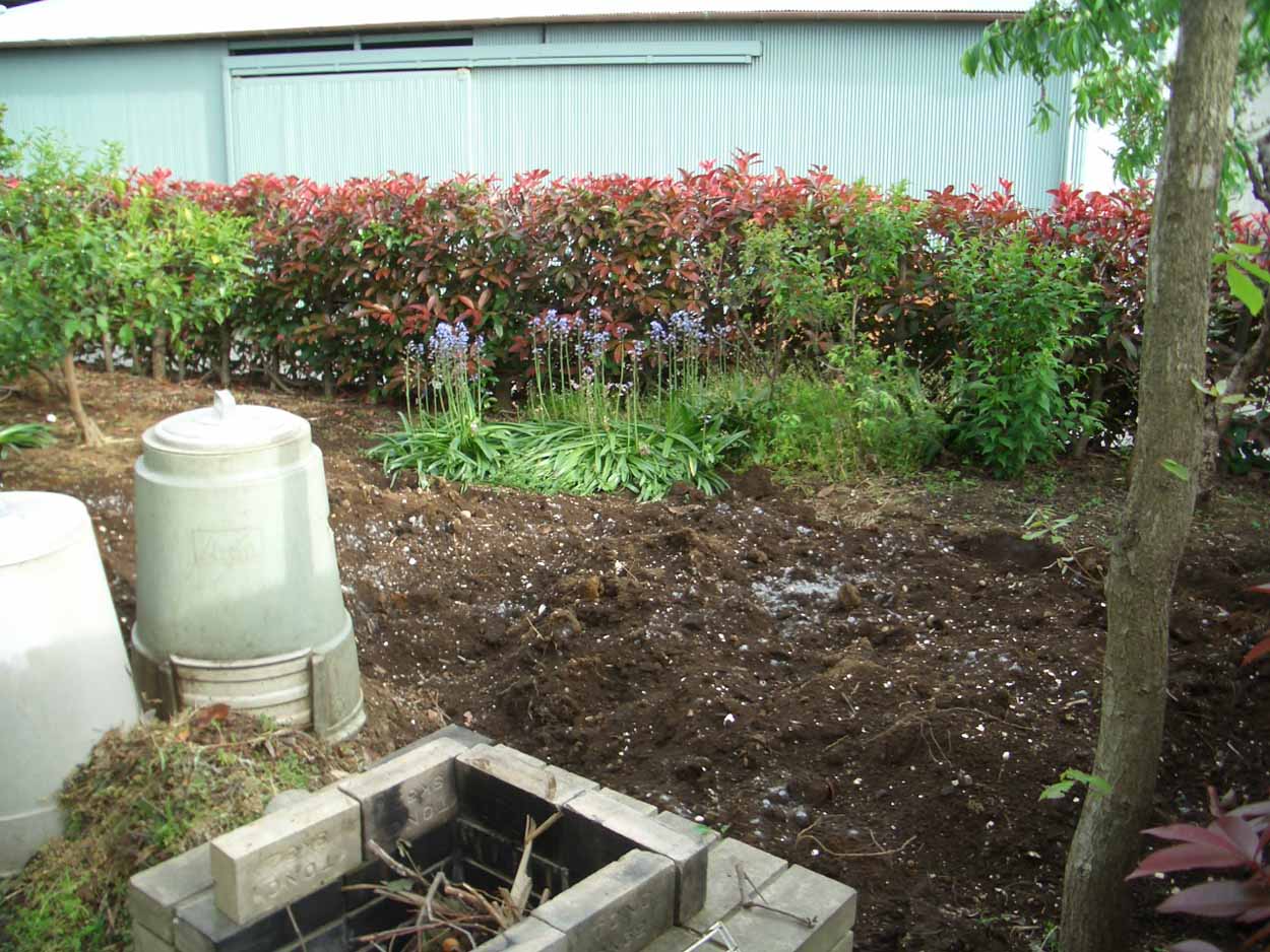 我が家の「地産地消」を夢見て?_f0141310_22325589.jpg