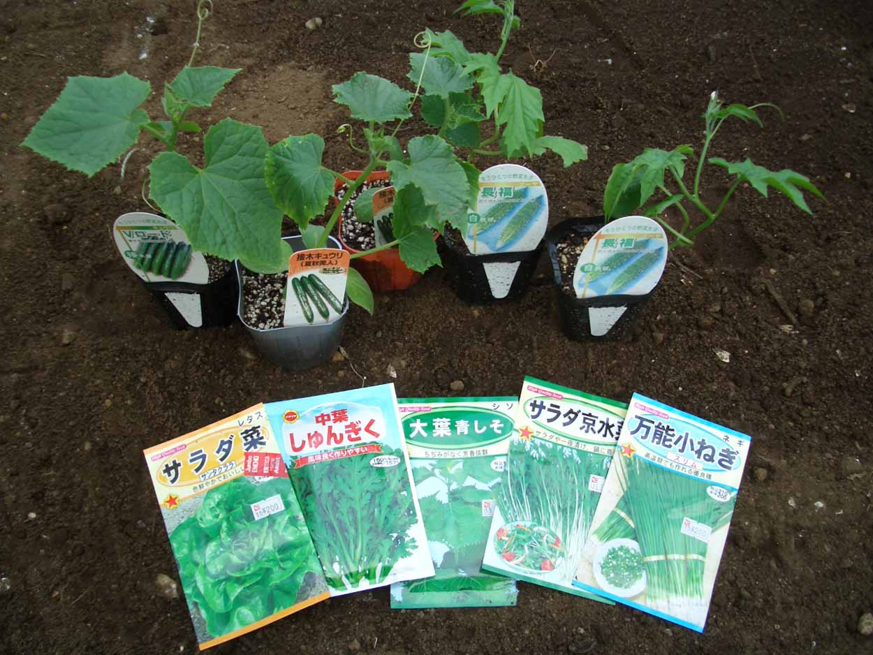 我が家の「地産地消」を夢見て?_f0141310_22332566.jpg