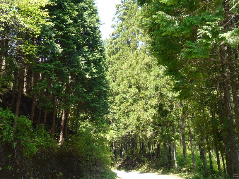c0086014_20152775.jpg
