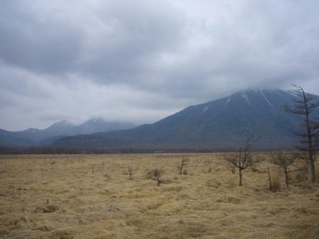 e0102214_21435.jpg