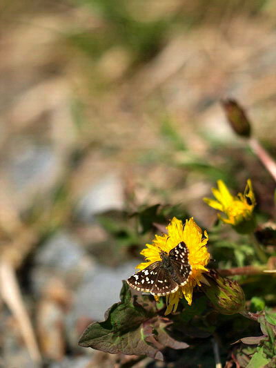 d0090322_2212052.jpg