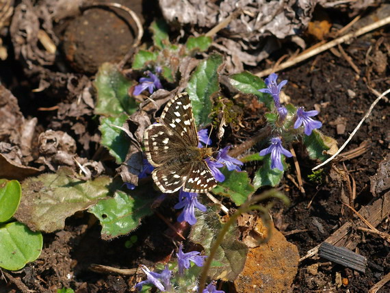 d0090322_22122426.jpg