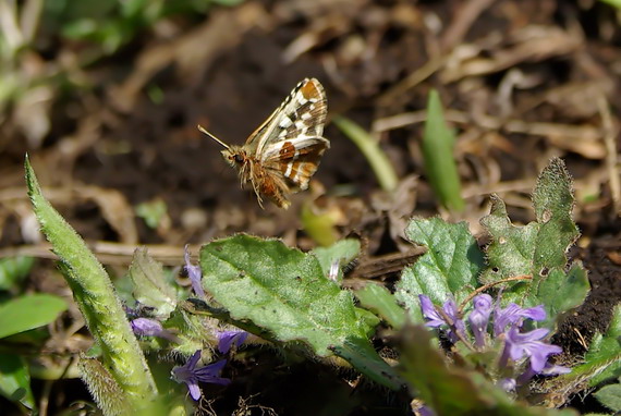 d0090322_22141657.jpg