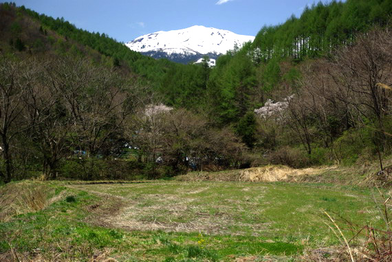 d0090322_2218046.jpg