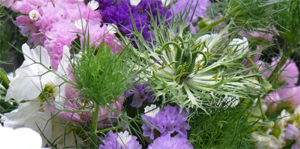 f0052323_114148100.jpg