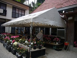 d0086228_1643391.jpg