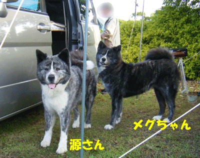 f0008935_10335275.gif