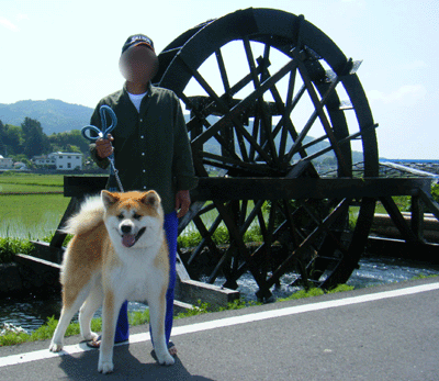 f0008935_10574063.gif
