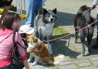 f0008935_10591397.gif