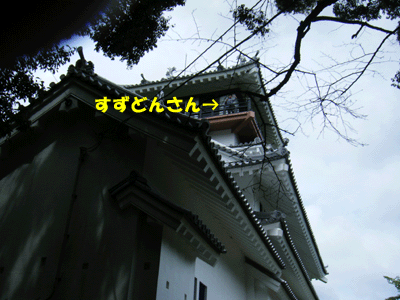 f0008935_11274963.gif