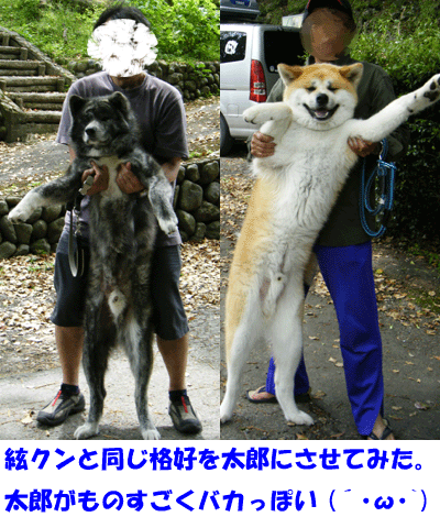f0008935_1133795.gif
