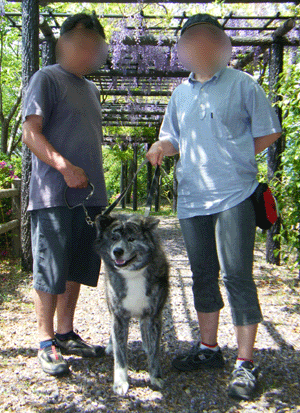 f0008935_1174971.gif