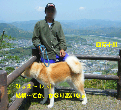 f0008935_11966.gif