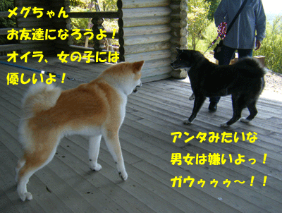 f0008935_14445976.gif