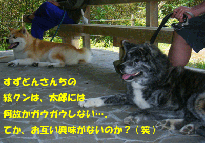 f0008935_14462153.gif