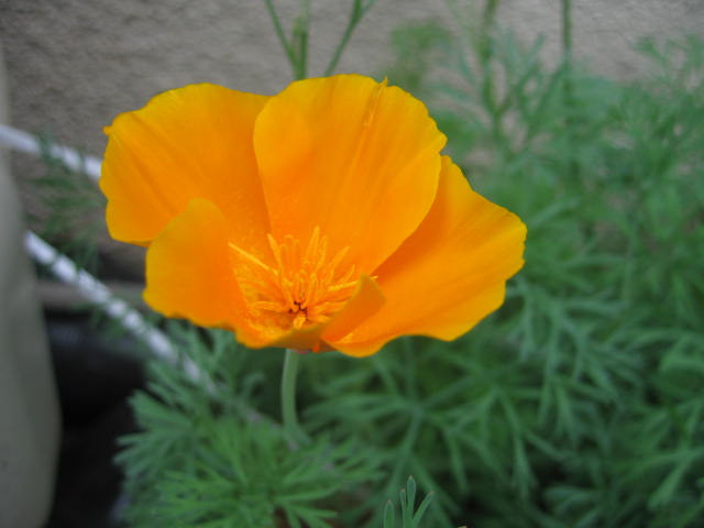 b0088037_92363.jpg