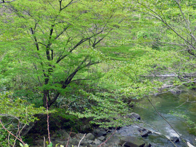 c0131544_2110492.jpg