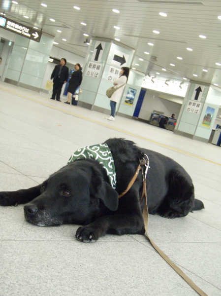 c0039145_22216.jpg