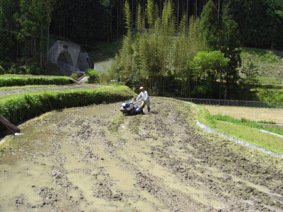 e0020945_1845589.jpg