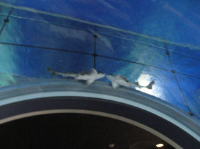 c0073649_165498.jpg
