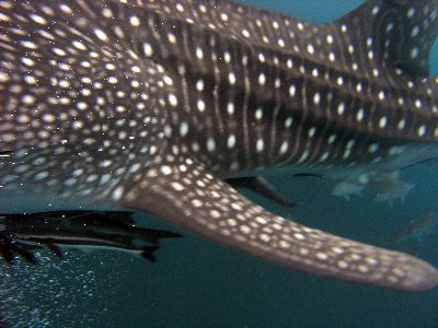 f0085850_22585322.jpg