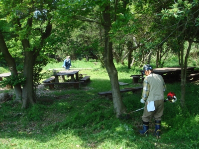 c0108460_175134100.jpg
