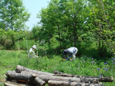 c0108460_17515367.jpg