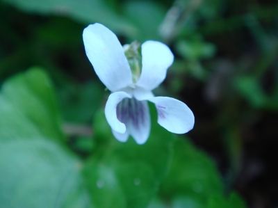c0108460_17525754.jpg