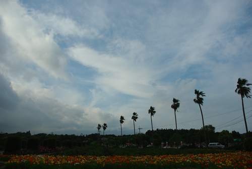 b0133463_02598.jpg