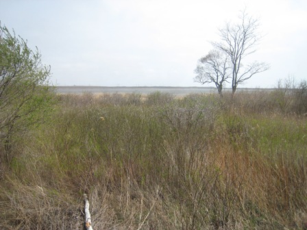 e0015964_22102160.jpg