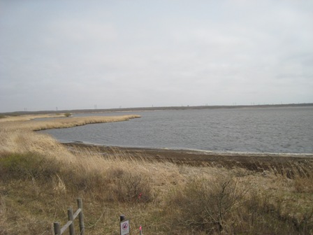e0015964_22103842.jpg